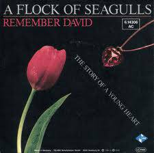 A Flock Of Seagulls : Remember David